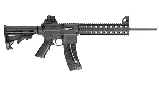 Smith Wesson MP 15 .22 LR